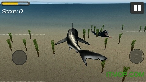鲨鱼模拟器3D内购破解版的图册