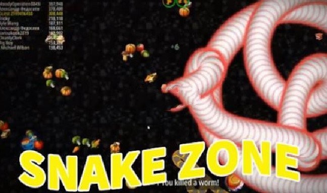 SnakeZone的图册