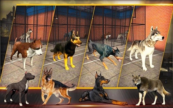 三角洲部队突击队中文版的图册