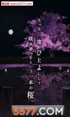 脱出游戏一夜樱(逃脱解谜)的图册