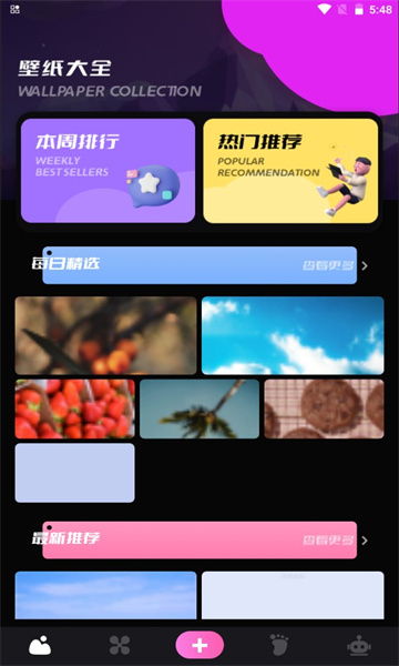 小鸟主题壁纸安卓版的图册