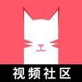 猫咪app下载安装最新版