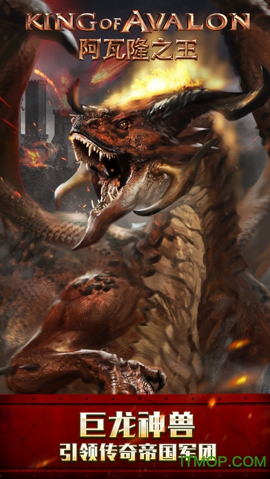 阿瓦隆之王手游当乐版的图册