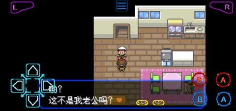 口袋妖怪之暗影归来的图册