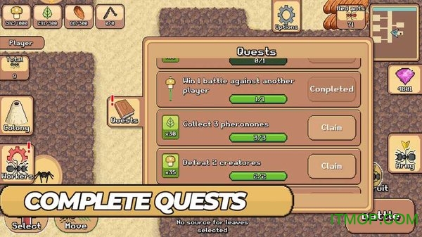 口袋蚂蚁最新版本的图册