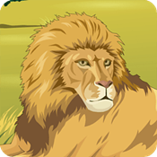 动物世界单机版