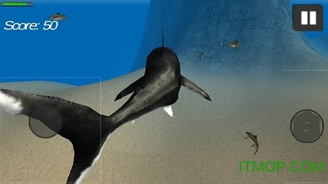 鲨鱼模拟器3D内购破解版的图册