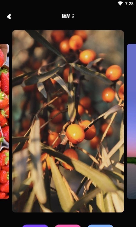 91主题壁纸最新版的图册