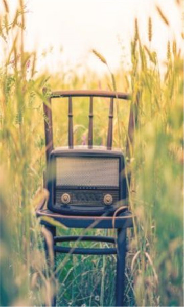 idealmusic官方版的图册