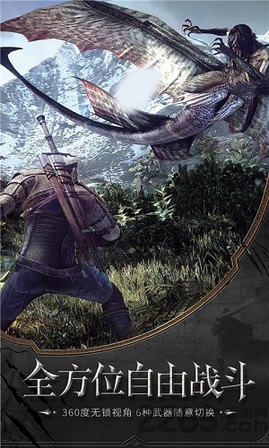 幻影无双破解版的图册