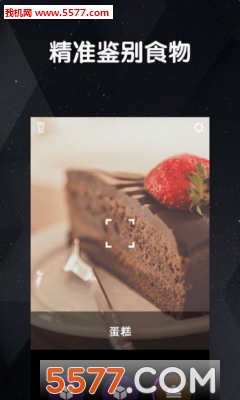看道(导盲小犬)的图册