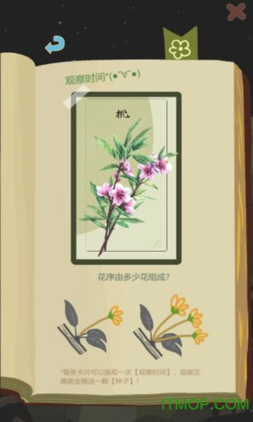 老农种树游戏的图册