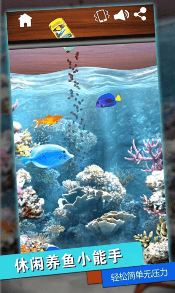 我是逻辑大师最新版的图册