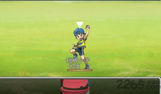 口袋人类汉化破解版的图册