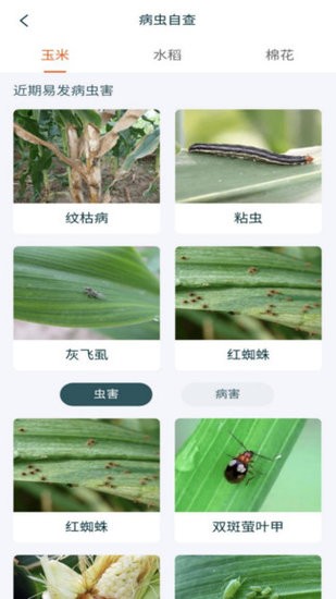 鲁担惠农村集体版软件的图册