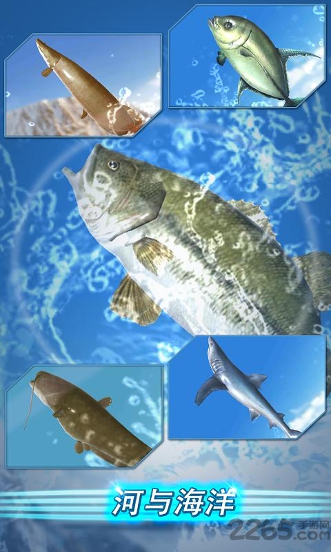 垂钓季节钓鱼达人最新版(FishingSeason)的图册