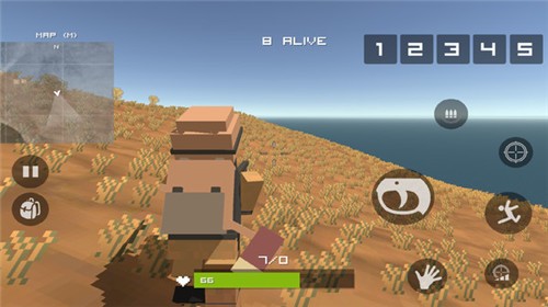 皇家战场吃鸡战中文版的图册