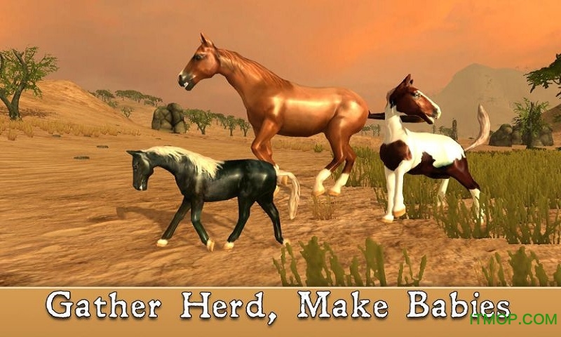 非洲马模拟器手游(AfricanHorse)的图册