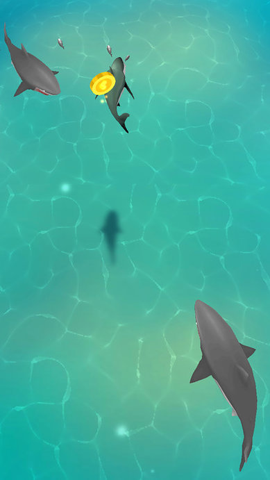 美味深海中文版的图册