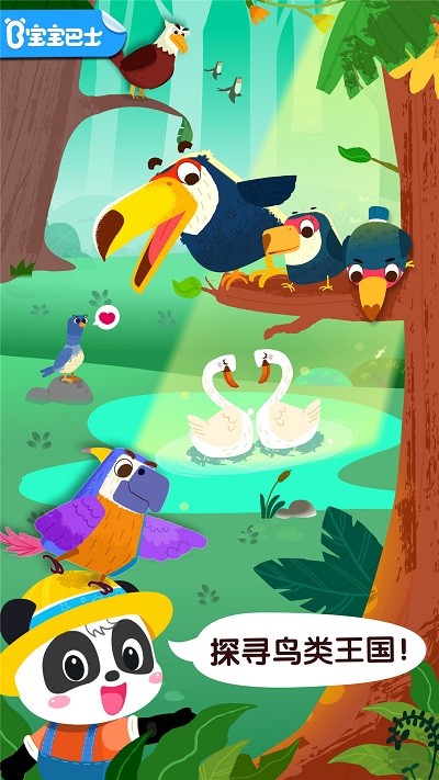 宝宝鸟类认知宝宝巴士的图册