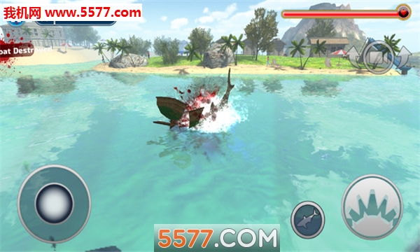 大白鲨的生活(lifeofgreatwhiteshark)的图册