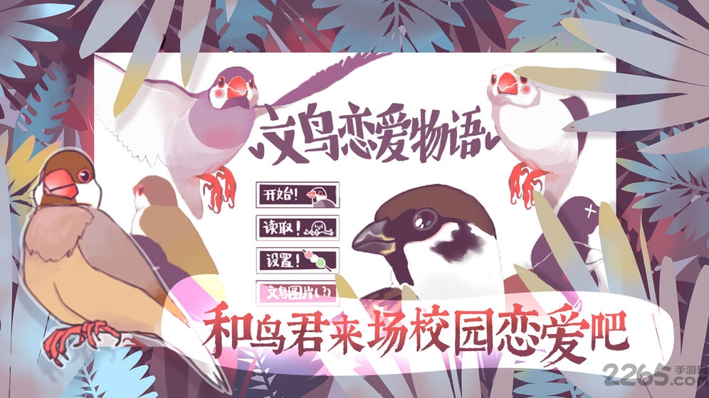 文鸟恋爱物语九游版的图册