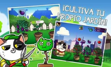 虚拟猫咪宠物游戏的图册