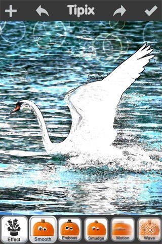 tipix手机app的图册