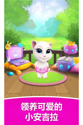 我的安吉拉国际版的图册