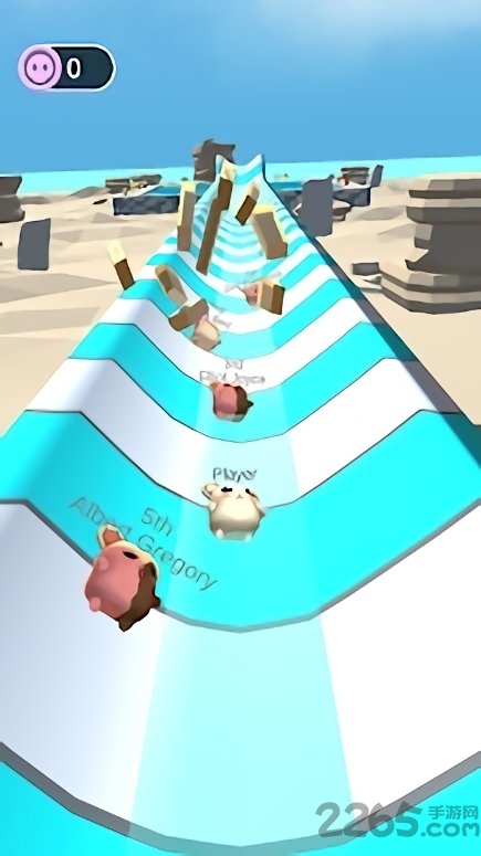 仓鼠水上乐园游戏的图册