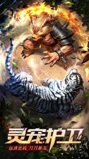 再战玛法手游的图册