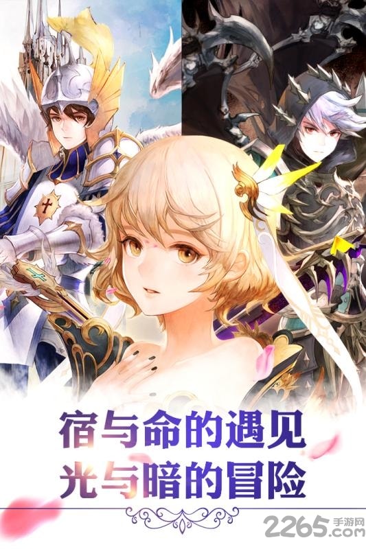 十二战纪官方版的图册