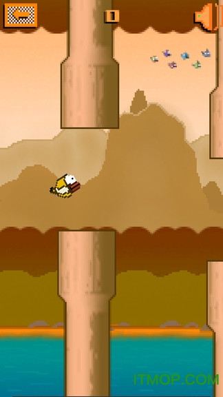 快乐的小鸟的图册