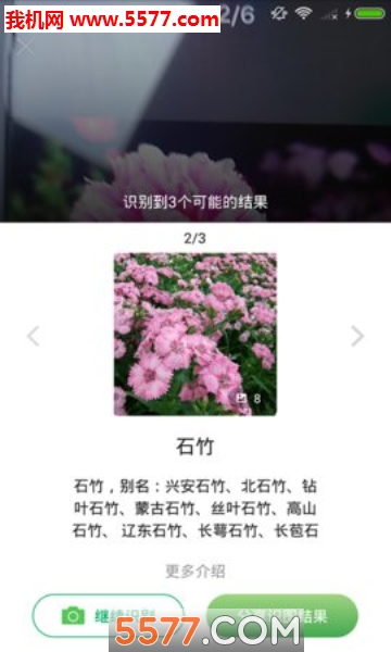 花花识花安卓版的图册
