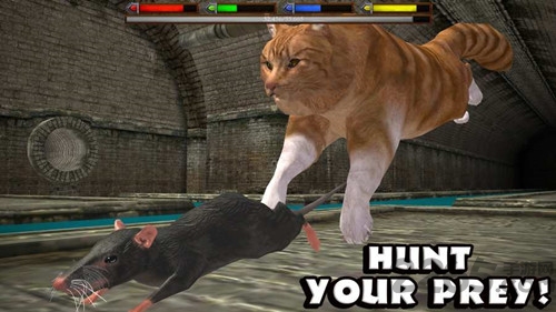 终极猫咪模拟器官方版的图册