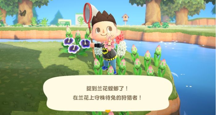 动物森友会的图册