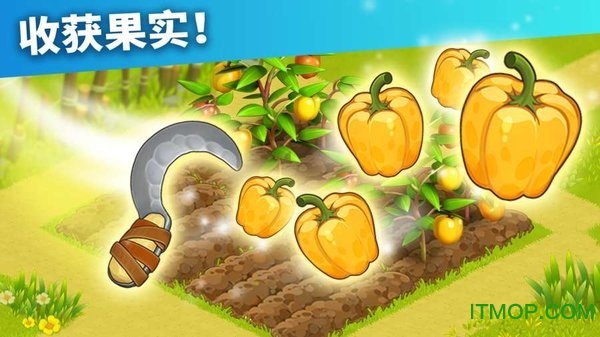 家庭岛农场游戏免谷歌版的图册