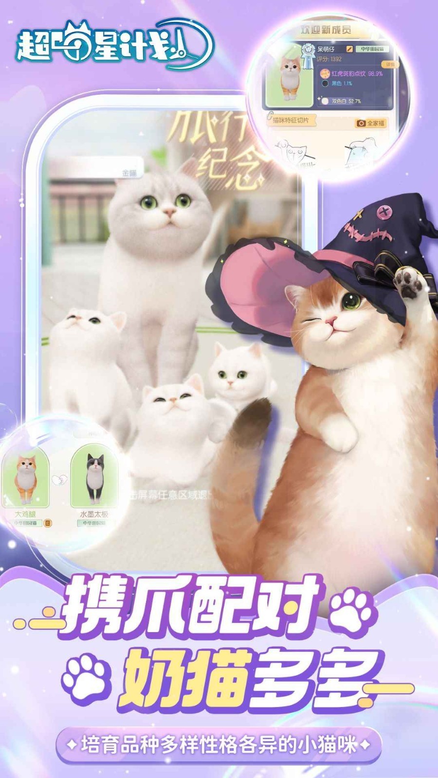 超喵星计划测试服的图册