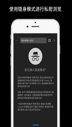 2023谷歌浏览器手机版app的图册