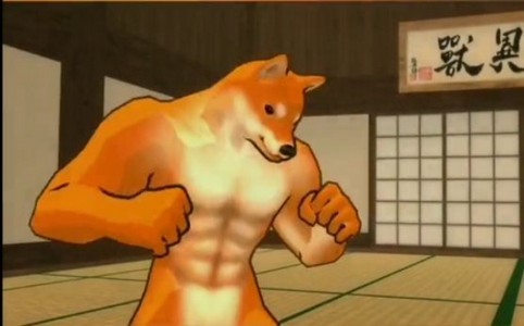 勾拳柴犬的图册