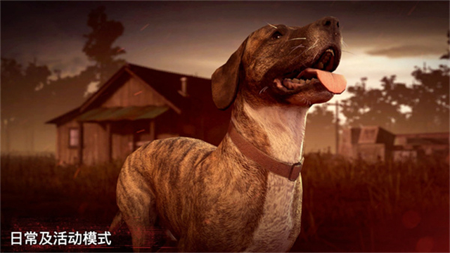 勇闯死人谷2免费完整版的图册