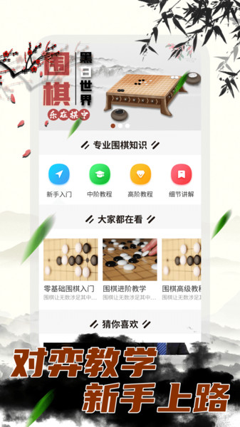 围棋大师教学的图册