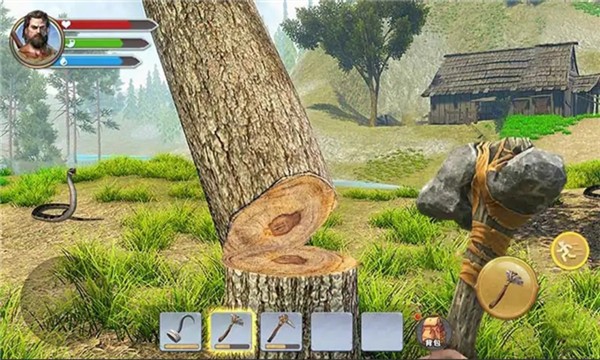 三天饿九顿的图册