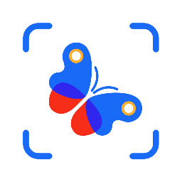 PictureInsect精简版