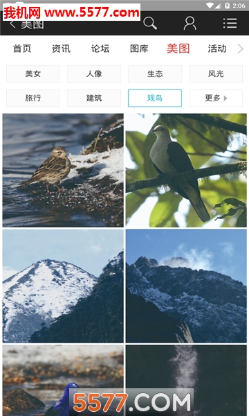 蜂鸟图库官方版的图册