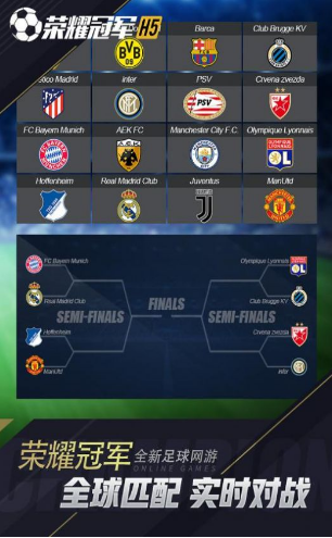 荣耀冠军ol的图册