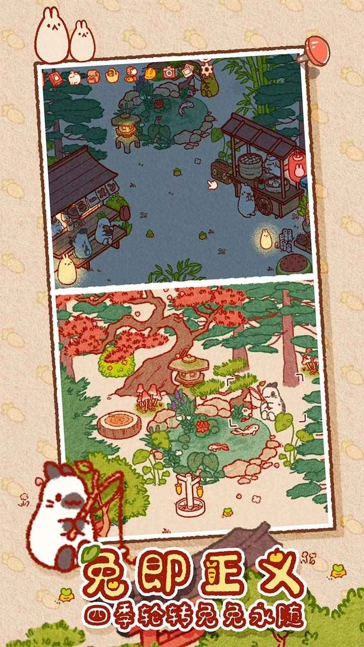 兔兔岛2024的图册