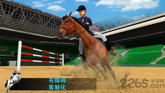 跳马模拟器2020游戏的图册