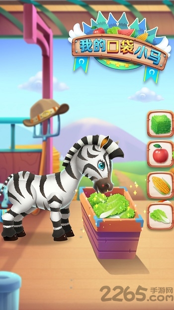 我的口袋小马九游版的图册