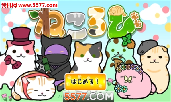 喵喵长跑安卓版的图册